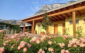 Agriturismo L' Isola Di Arturo